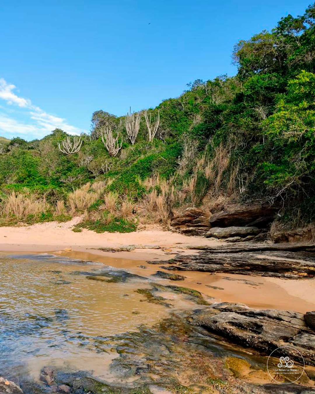 Paisagem Paradisíaca