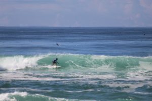 Boas ondas e natureza preservada